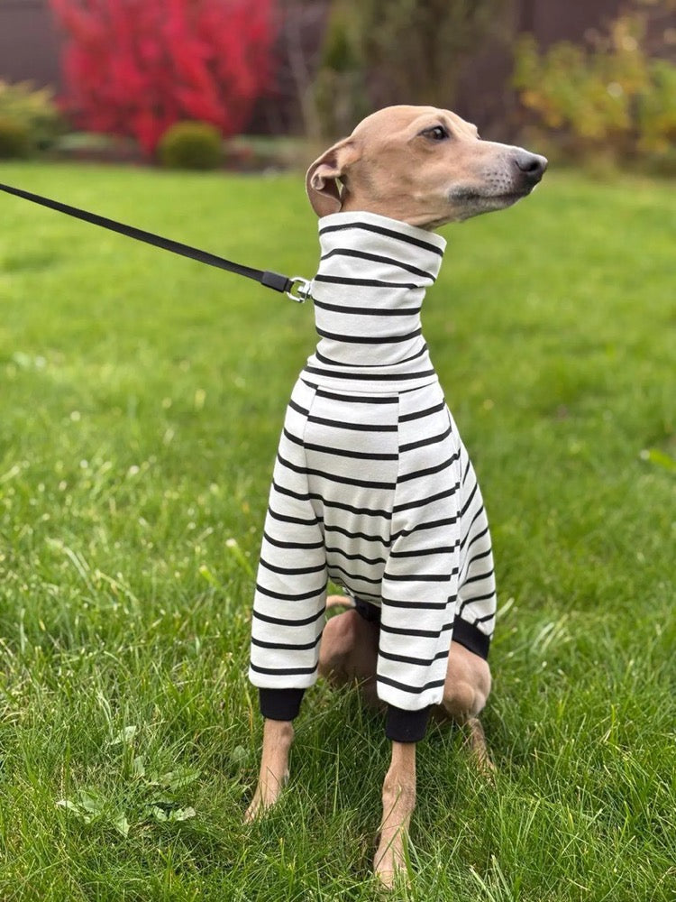 Striped Sweater for Italian Greyhound and Whippet/ Dog sweatshirt
