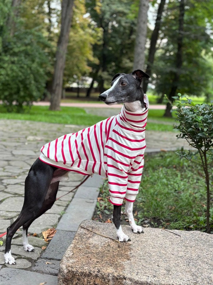 Striped Sweater for Whippet and Italian Greyhound/ Dog Clothes