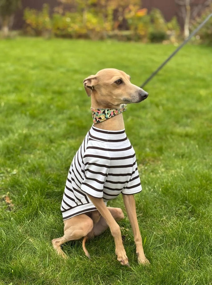 Striped Dog tshirt:Italian Greyhound, Whippet Summer shirt