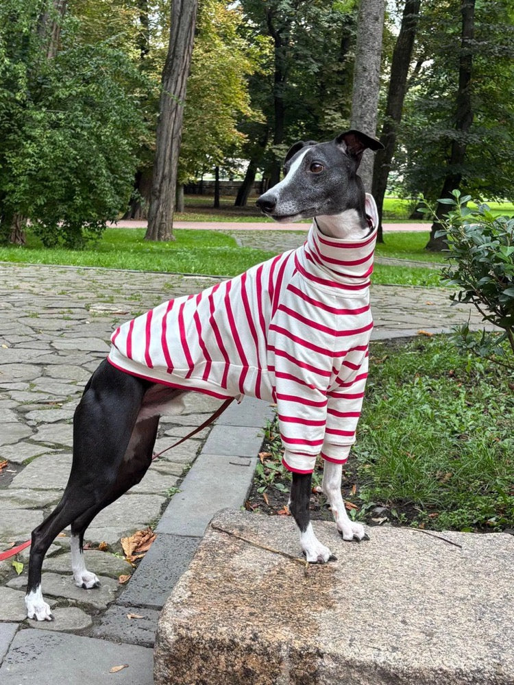Striped Sweater for Whippet and Italian Greyhound/ Dog Clothes