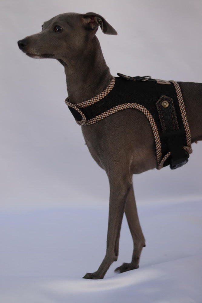 Harness for Italian Greyhound/Denim dog harness