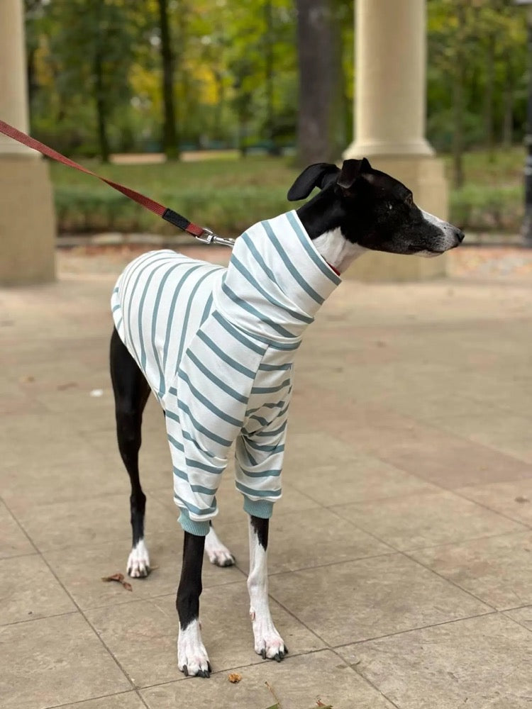 Striped Sweater for Whippet and Greyhound/ Dog Clothes