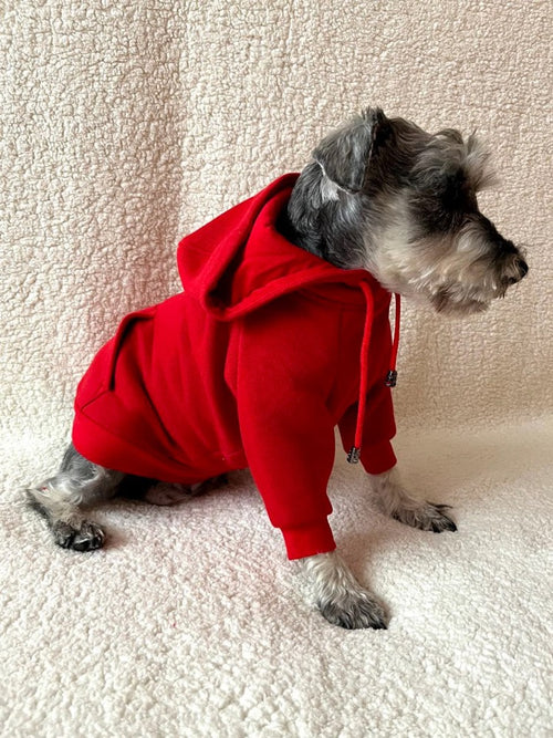 Red Cotton Dog Hoodie: Warm Pullover Sweater for Italian Greyhound & Whippet