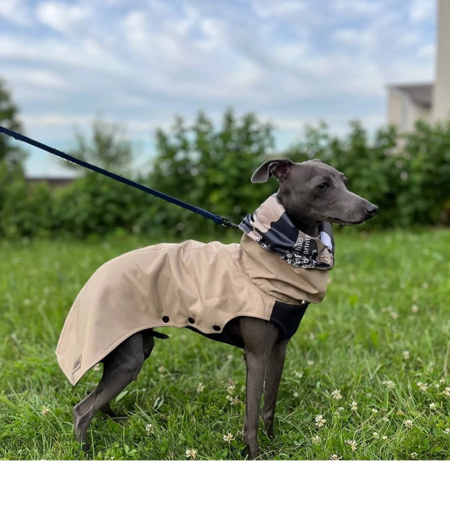 Fleece Lined Raincoat for Italian Greyhound and Whippet
