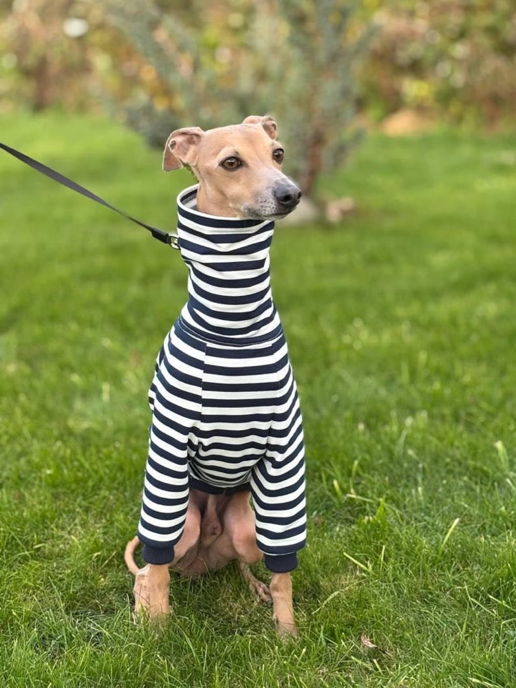 Striped Sweater for Italian Greyhound and Whippet/ Dog sweatshirt