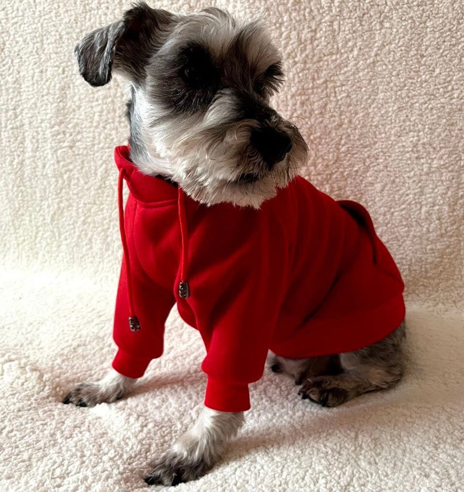 Red Cotton Dog Hoodie: Warm Pullover Sweater for Italian Greyhound & Whippet