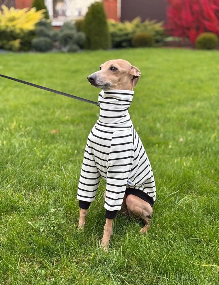 Striped Sweater for Italian Greyhound and Whippet/ Dog sweatshirt