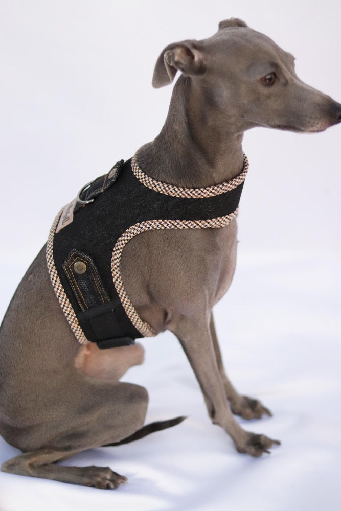Harness for Italian Greyhound/Denim dog harness