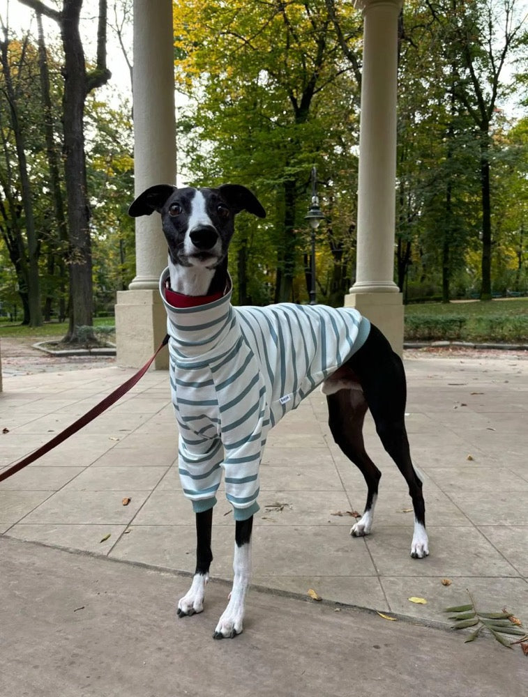 Striped Sweater for Whippet and Greyhound/ Dog Clothes