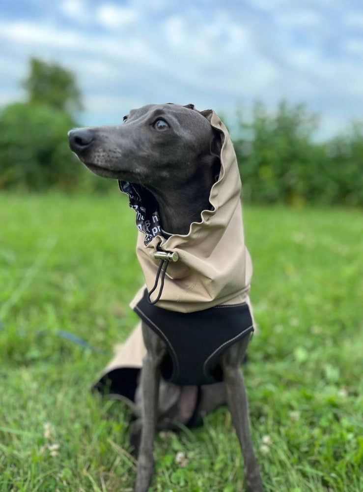 Fleece Lined Raincoat for Italian Greyhound and Whippet