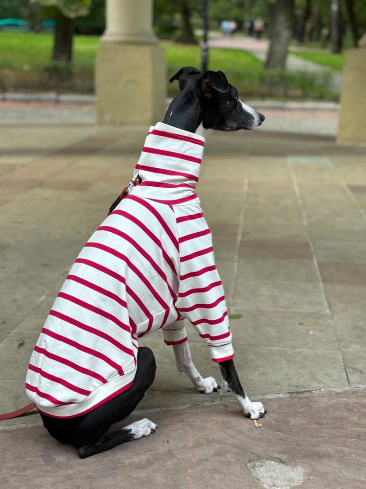Striped Sweater for Whippet and Italian Greyhound/ Dog Clothes