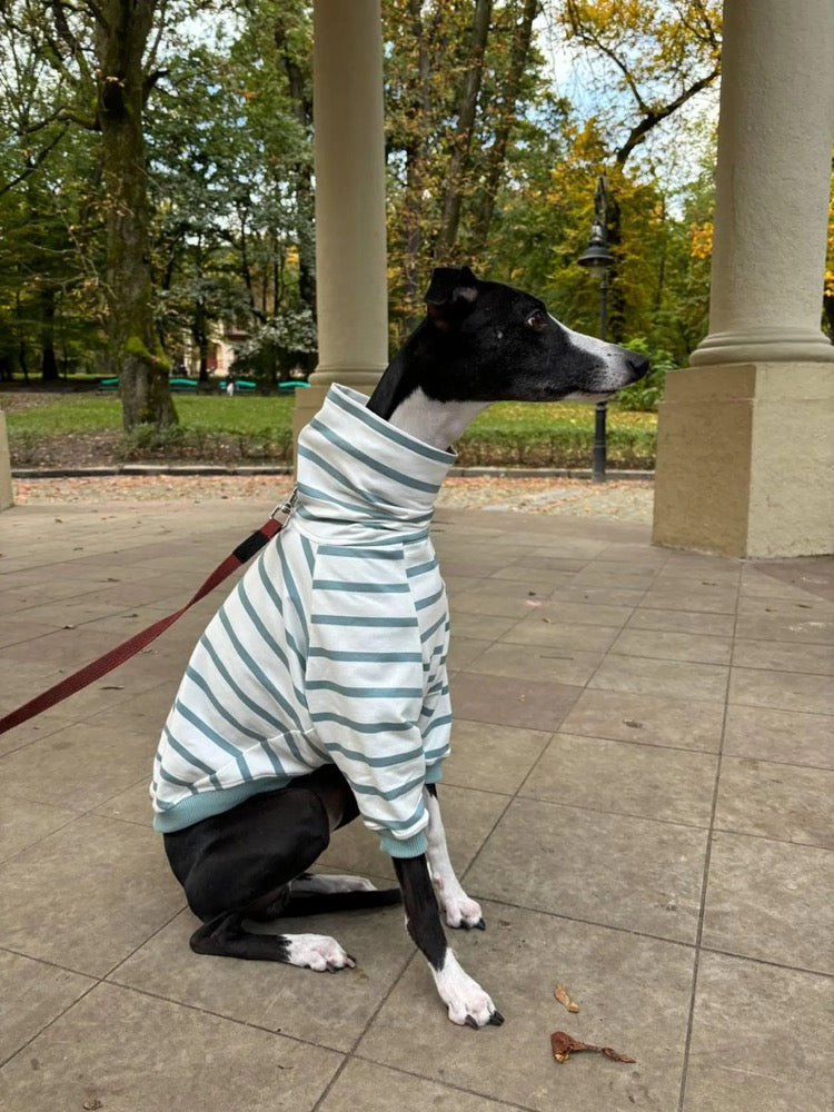 Striped Sweater for Whippet and Greyhound/ Dog Clothes