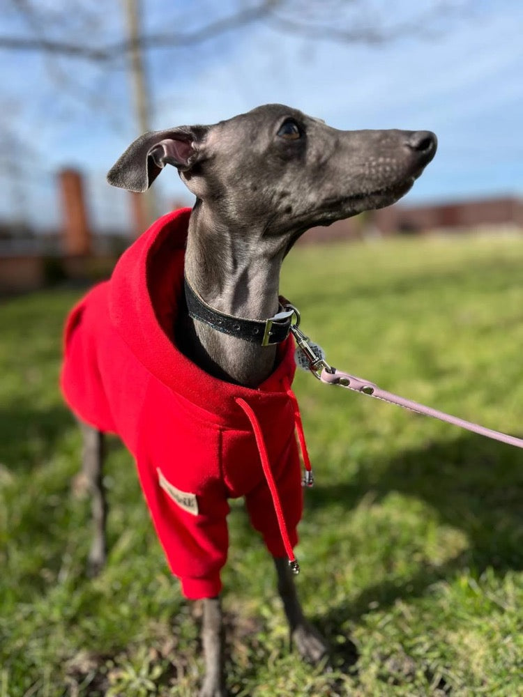 Red Cotton Dog Hoodie: Warm Pullover Sweater for Italian Greyhound & Whippet