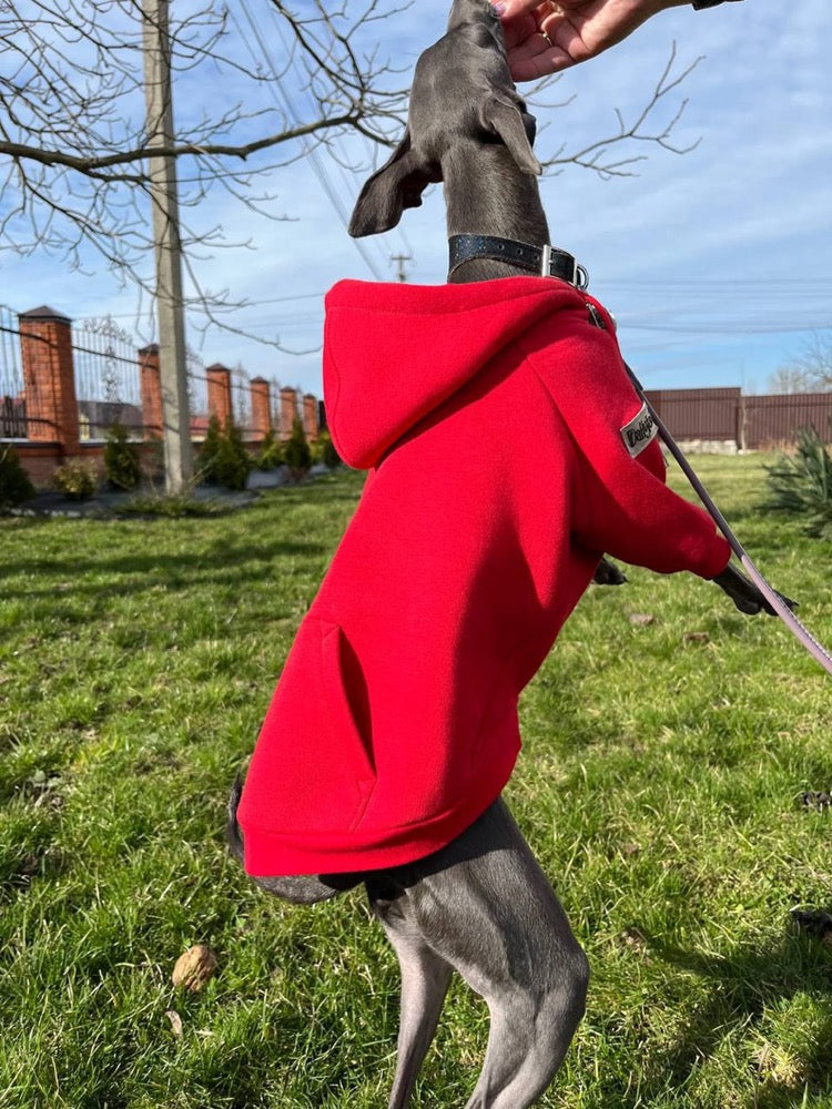 Red Cotton Dog Hoodie: Warm Pullover Sweater for Italian Greyhound & Whippet