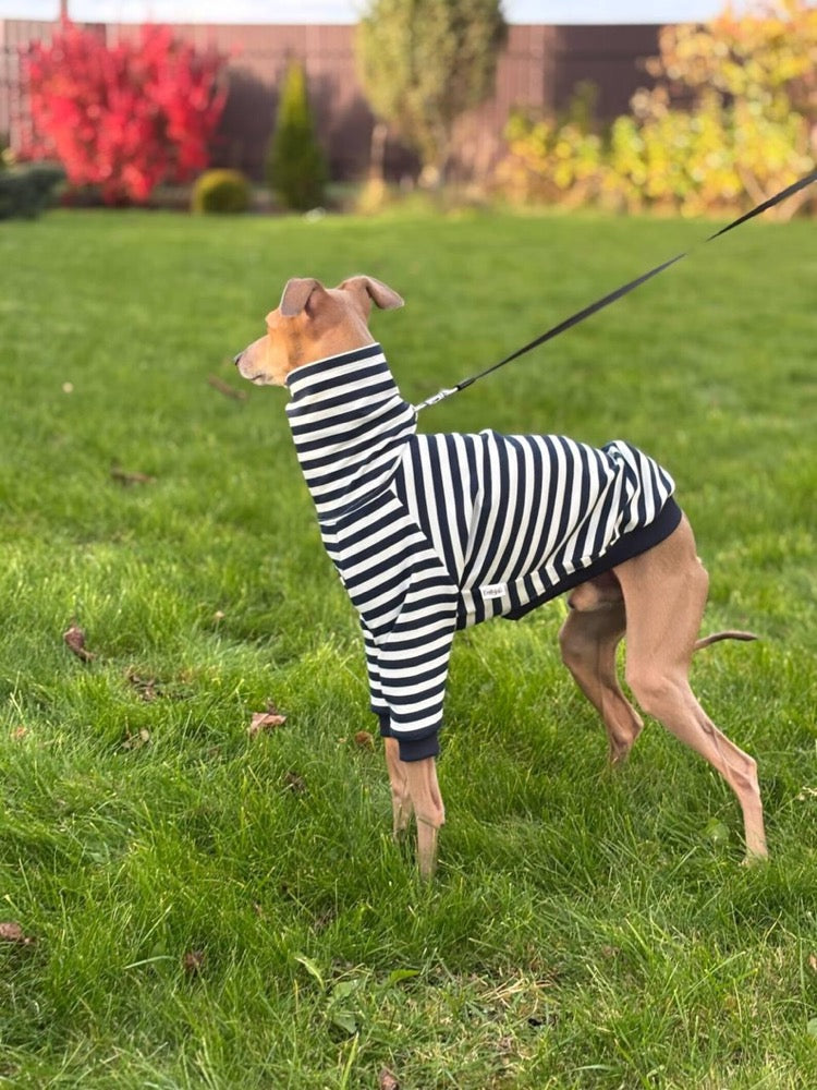 Striped Sweater for Italian Greyhound and Whippet/ Dog sweatshirt