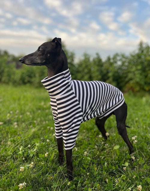 Italian Greyhound and Whippet Striped Turtleneck Sweater/Dog Clothes