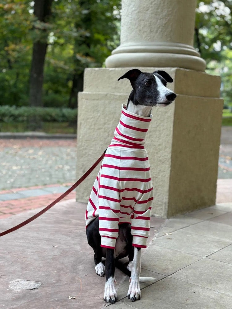 Striped Sweater for Whippet and Italian Greyhound/ Dog Clothes