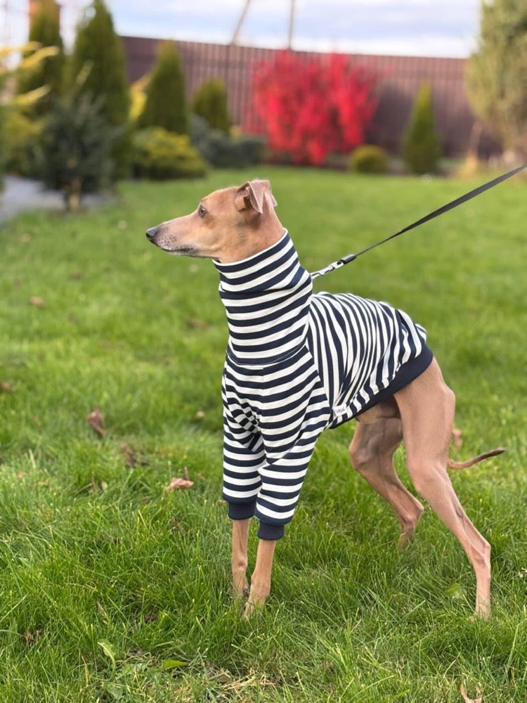 Striped Sweater for Italian Greyhound and Whippet/ Dog sweatshirt