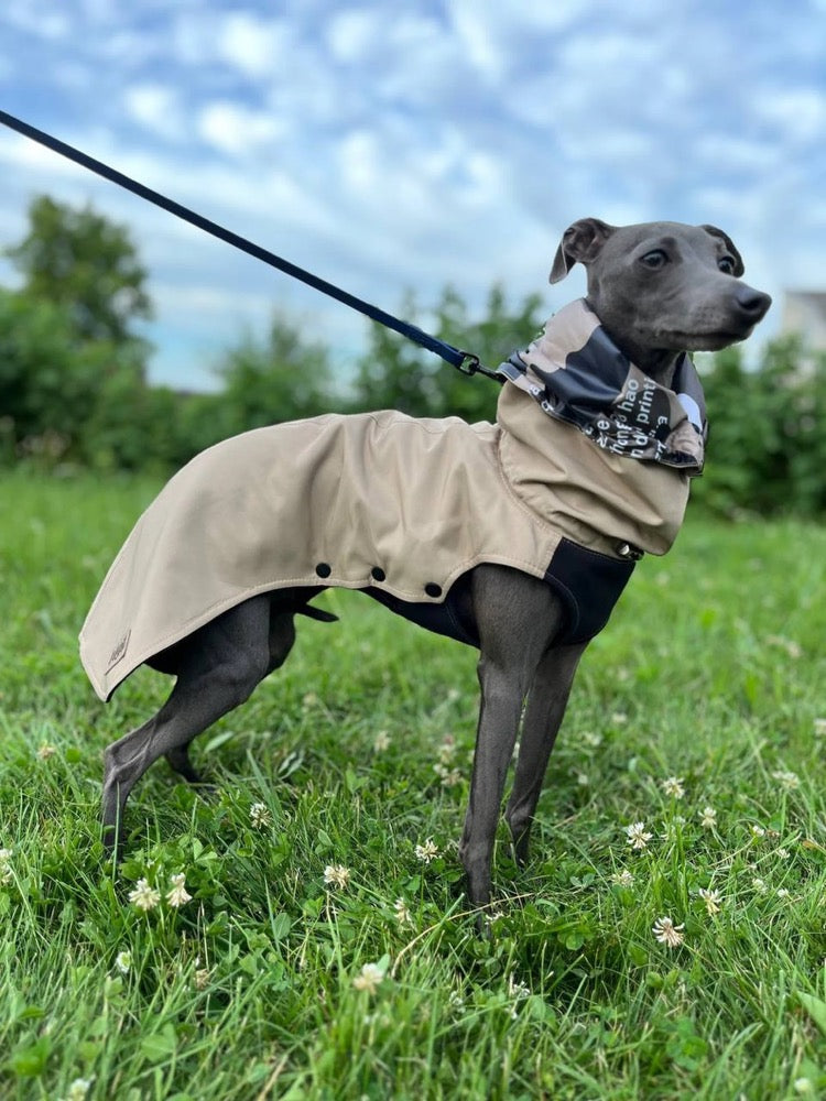 Fleece Lined Raincoat for Italian Greyhound and Whippet