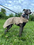 Fleece Lined Raincoat for Italian Greyhound and Whippet