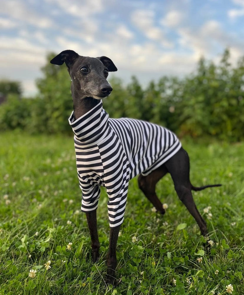Italian Greyhound and Whippet Striped Turtleneck Sweater/Dog Clothes
