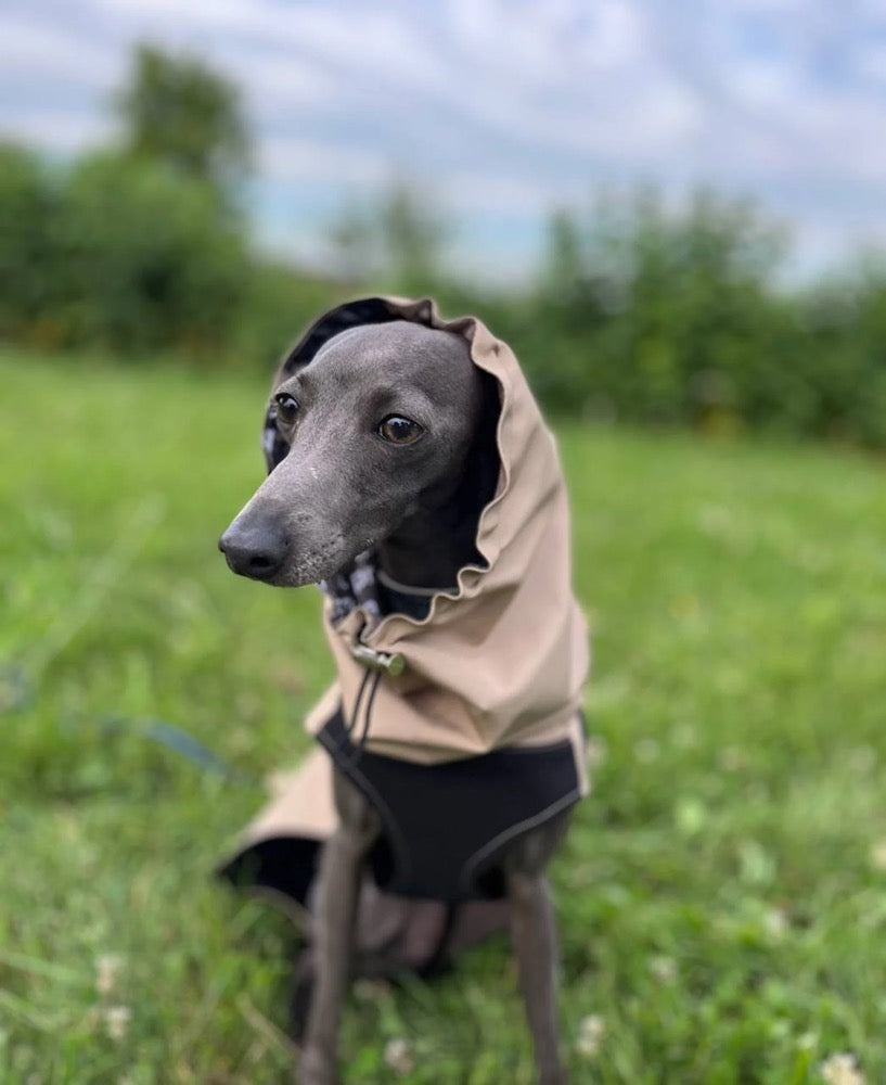 Fleece Lined Raincoat for Italian Greyhound and Whippet