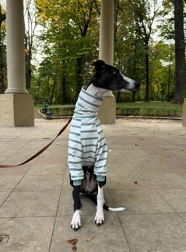 Striped Sweater for Whippet and Greyhound/ Dog Clothes