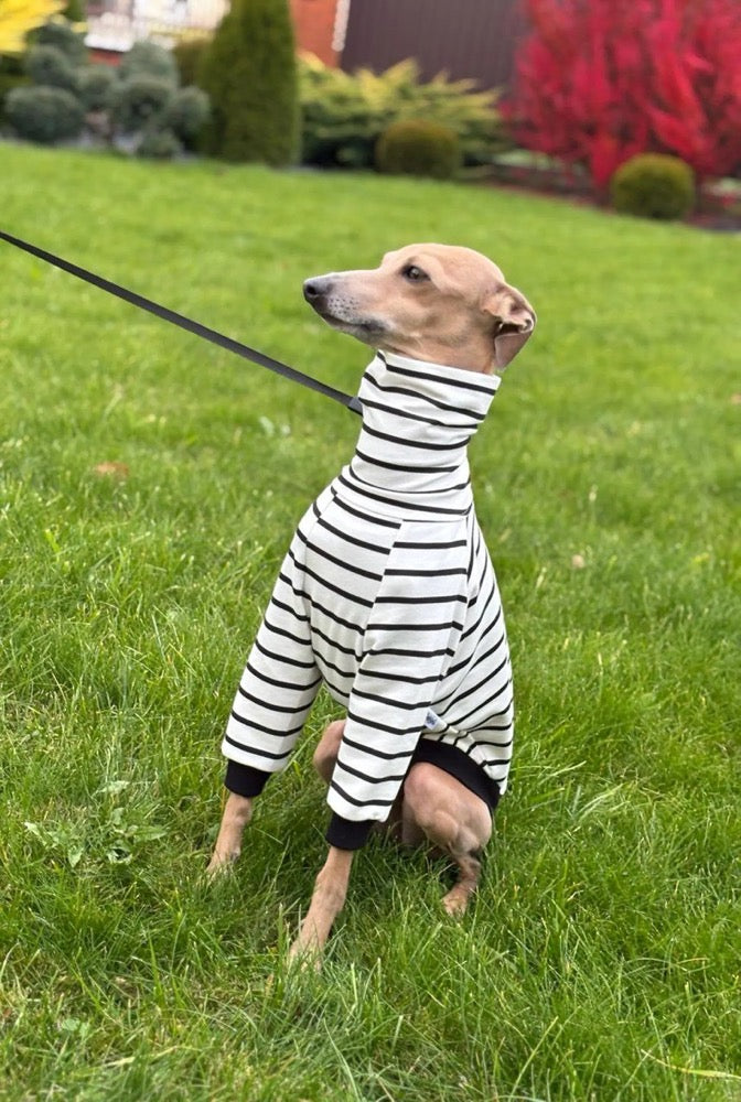 Striped Sweater for Italian Greyhound and Whippet/ Dog sweatshirt
