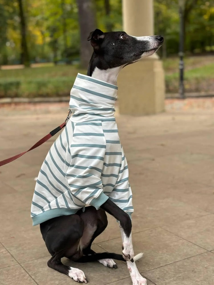 Striped Sweater for Whippet and Greyhound/ Dog Clothes
