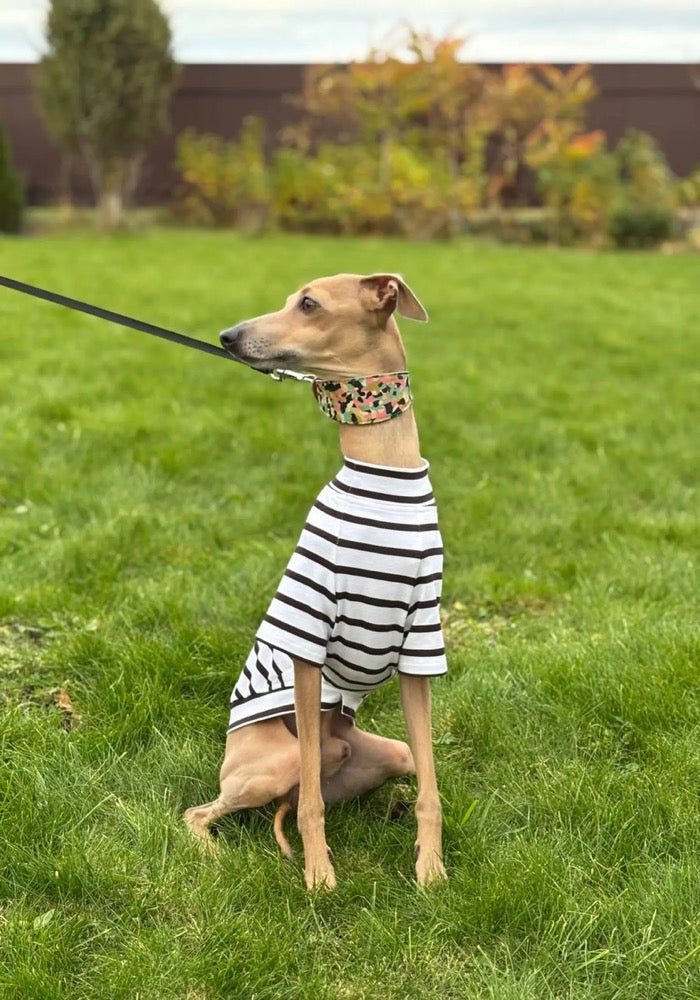 Striped Dog tshirt:Italian Greyhound, Whippet Summer shirt