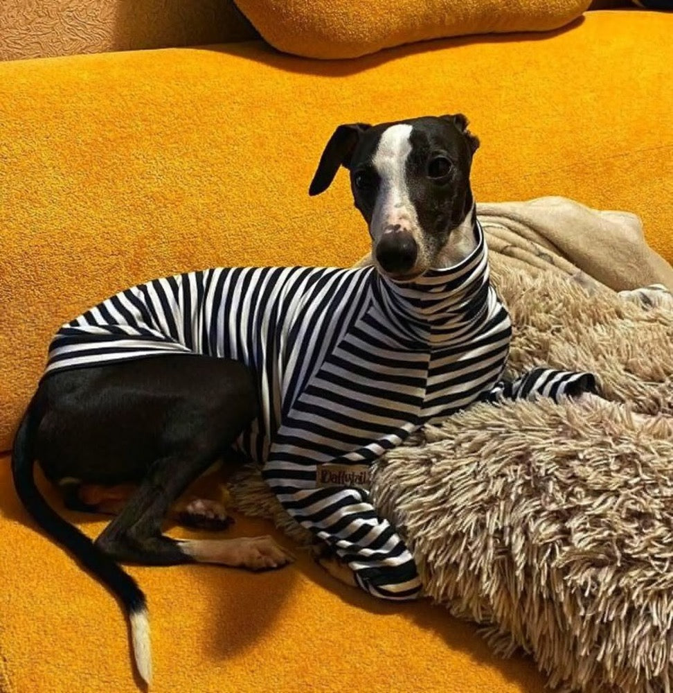 Italian Greyhound and Whippet Striped Turtleneck Sweater/Dog Clothes