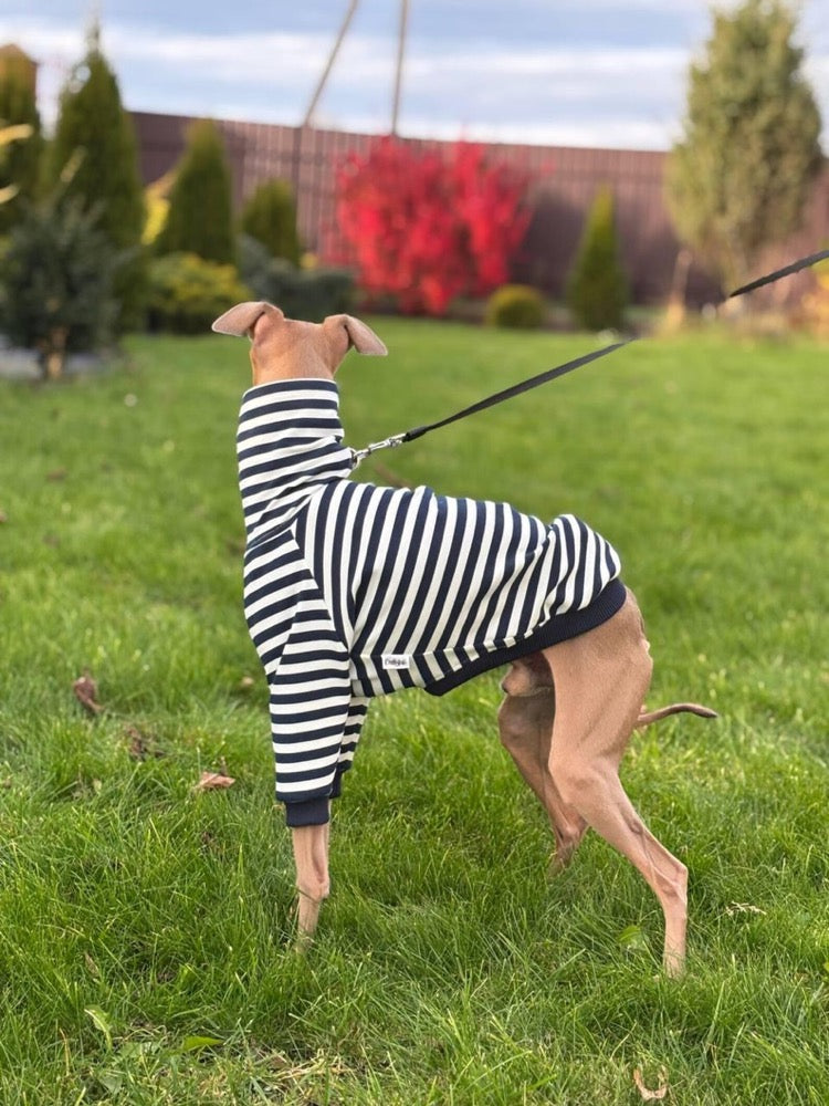 Striped Sweater for Italian Greyhound and Whippet/ Dog sweatshirt