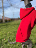 Red Cotton Dog Hoodie: Warm Pullover Sweater for Italian Greyhound & Whippet