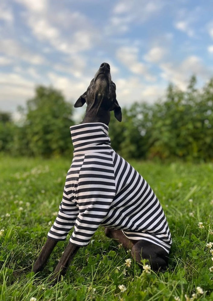 Italian Greyhound and Whippet Striped Turtleneck Sweater/Dog Clothes