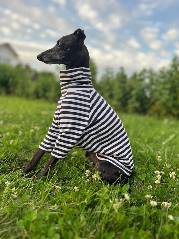 Italian Greyhound and Whippet Striped Turtleneck Sweater/Dog Clothes